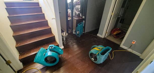 Best Basement water damage restoration  in Upton, WY