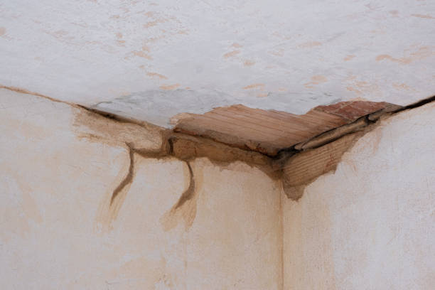 Best Emergency water damage restoration  in Upton, WY