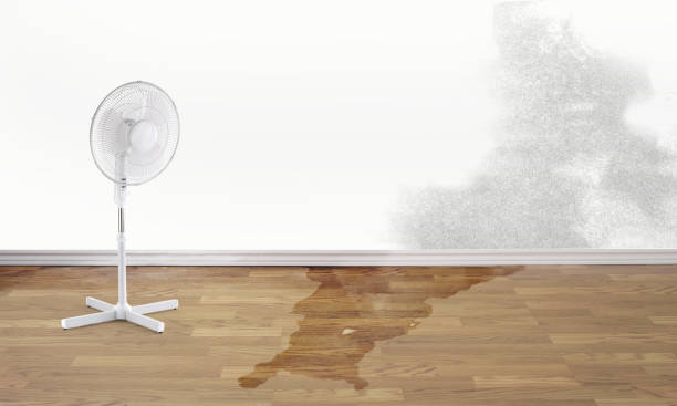 Best Water damage restoration near me  in Upton, WY