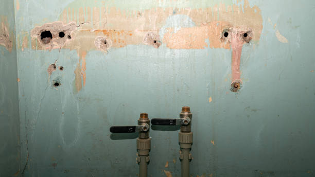 Carpet water damage restoration in WY