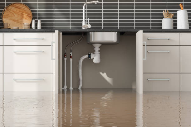 Best Fire Damage Restoration  in Upton, WY